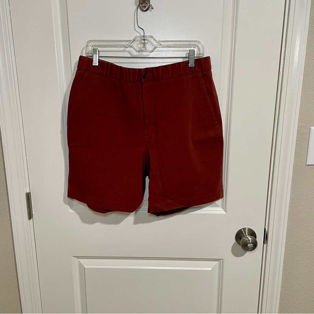 Everlane Men's Rust Shorts